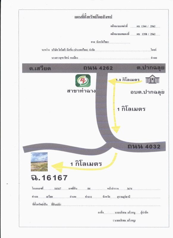 ที่ดินเปล่า สุราษฎร์ธานี ท่าฉาง ปากฉลุย 1041040