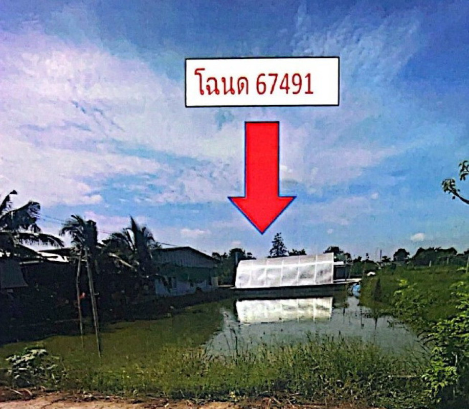 บ้านเดี่ยว ปทุมธานี ลำลูกกา ลำไทร 1268620