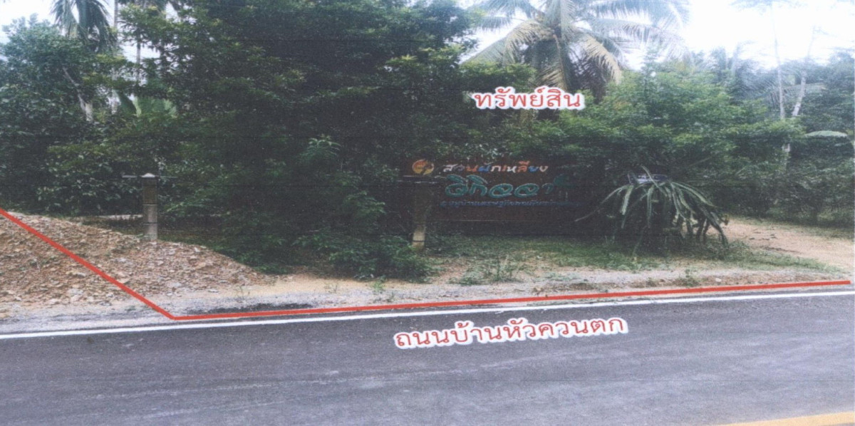 ที่ดินเปล่า สงขลา จะนะ ท่าหมอไทร 705780