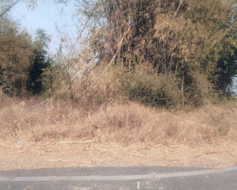 ที่ดินเปล่า ลพบุรี โคกสำโรง สะแกราบ 44600
