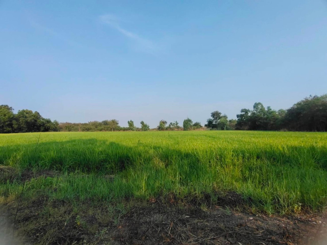 Residential land/lot Nakhon Pathom Phutthamonthon Khlong Yong 990000