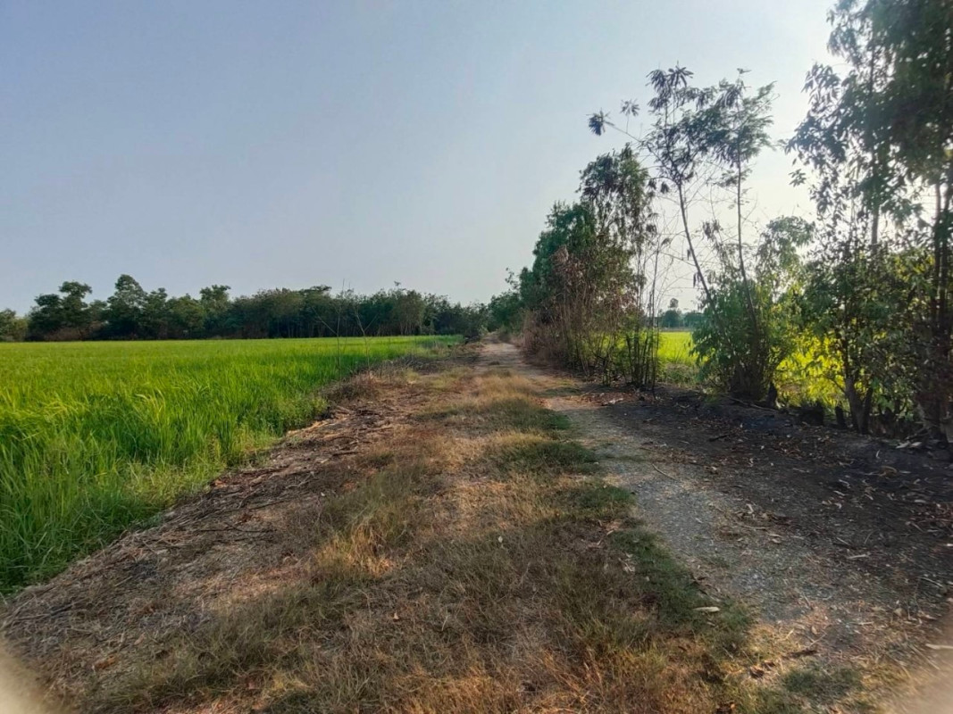 Residential land/lot Nakhon Pathom Phutthamonthon Khlong Yong 990000