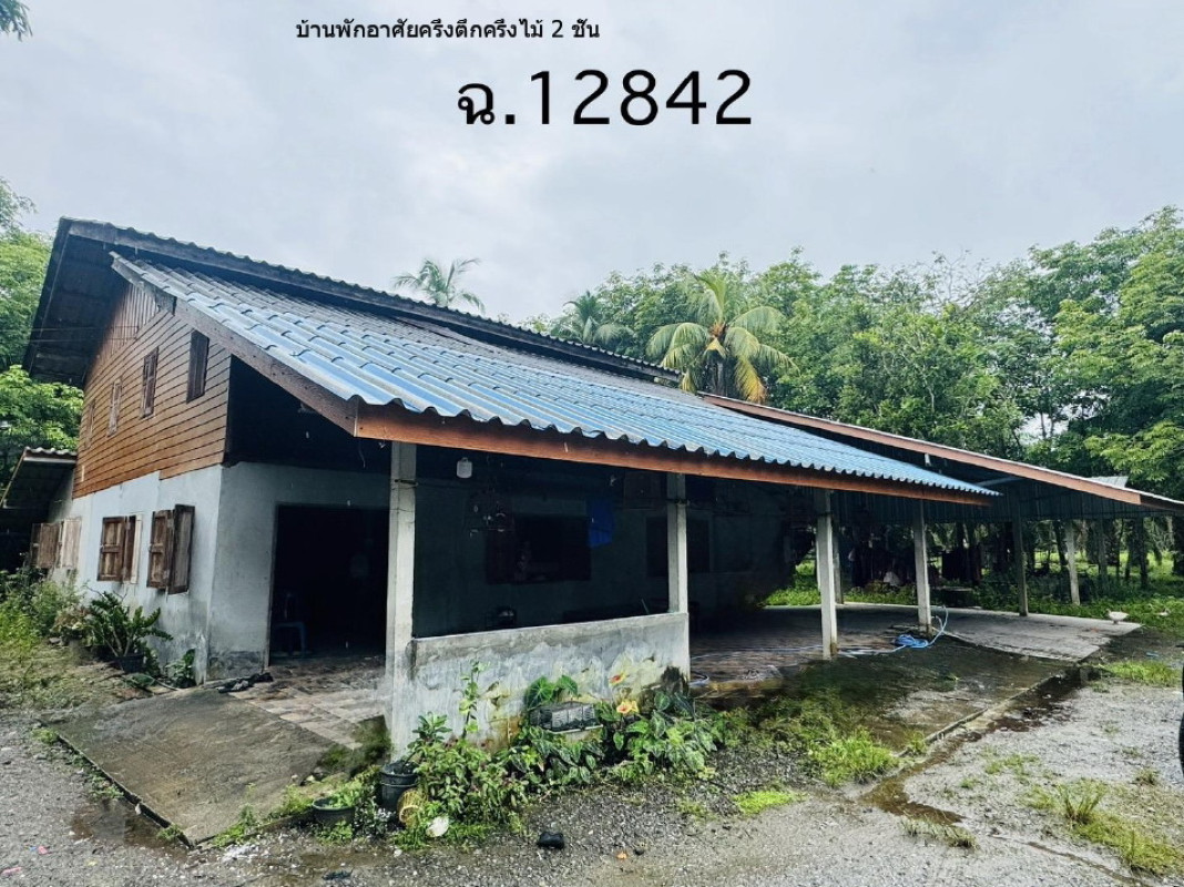 บ้านเดี่ยว สุราษฎร์ธานี ไชยา ทุ่ง 3004605