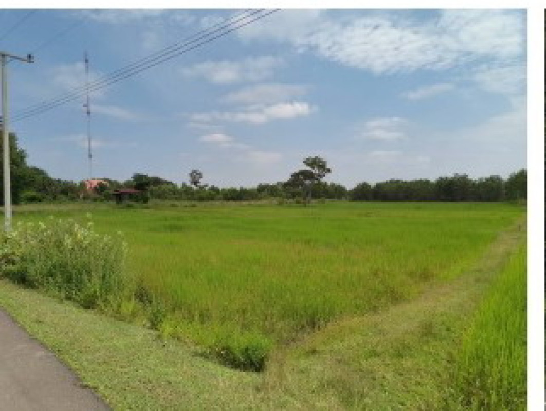 ที่ดินเปล่า บุรีรัมย์ พลับพลาชัย ป่าชัน 446352