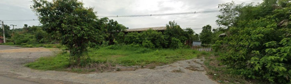 บ้านเดี่ยว บ้านเดี่ยว พิษณุโลก พิษณุโลก พรหมพิราม ดงประคำ 12000000