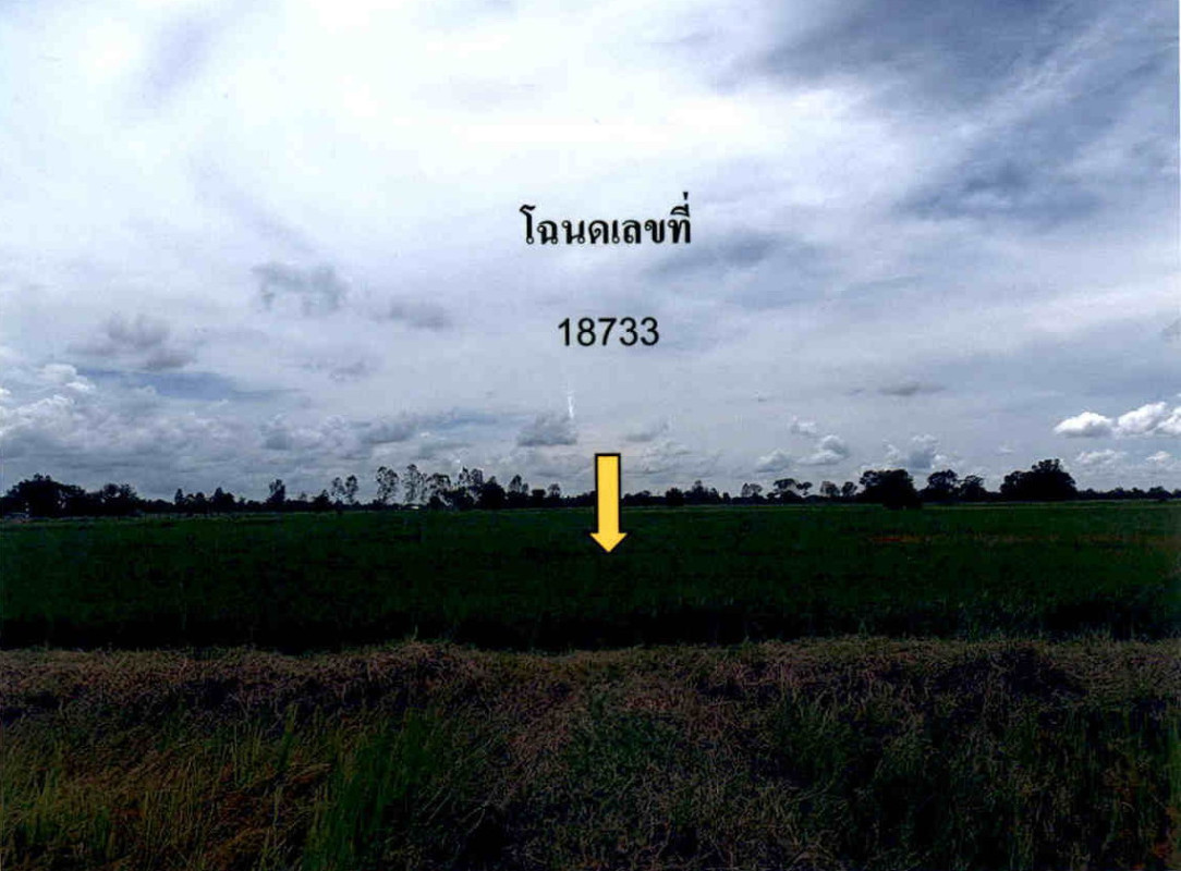 Residential land/lot Nakhon Ratchasima Prathai Nong Khai 606000