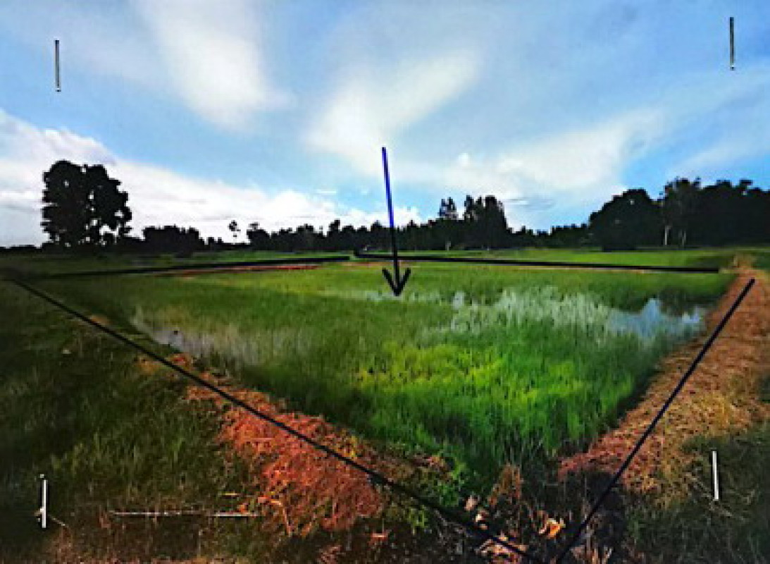 ที่ดินเปล่า หนองคาย ท่าบ่อ บ้านถ่อน 35920