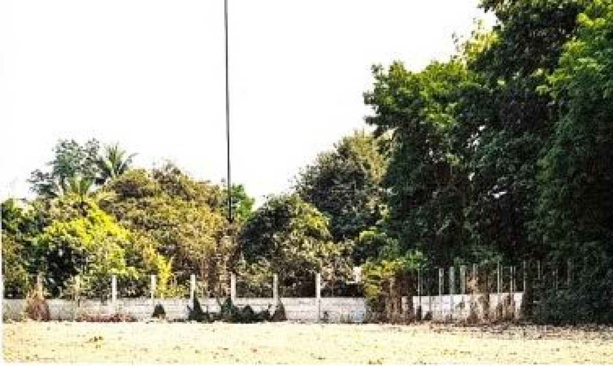 Residential land/lot Chachoengsao Plaeng Yao Hua Samrong 61390