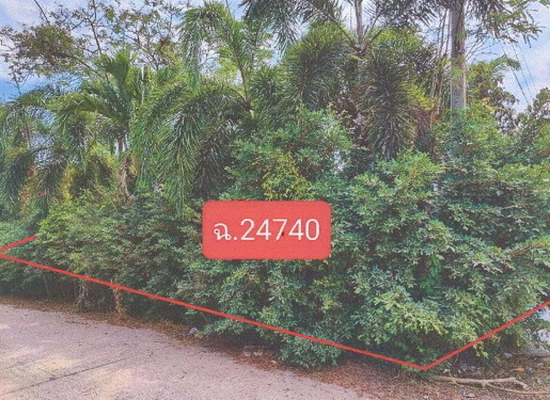 ที่ดินเปล่า ราชบุรี ดำเนินสะดวก ดอนกรวย 2369200