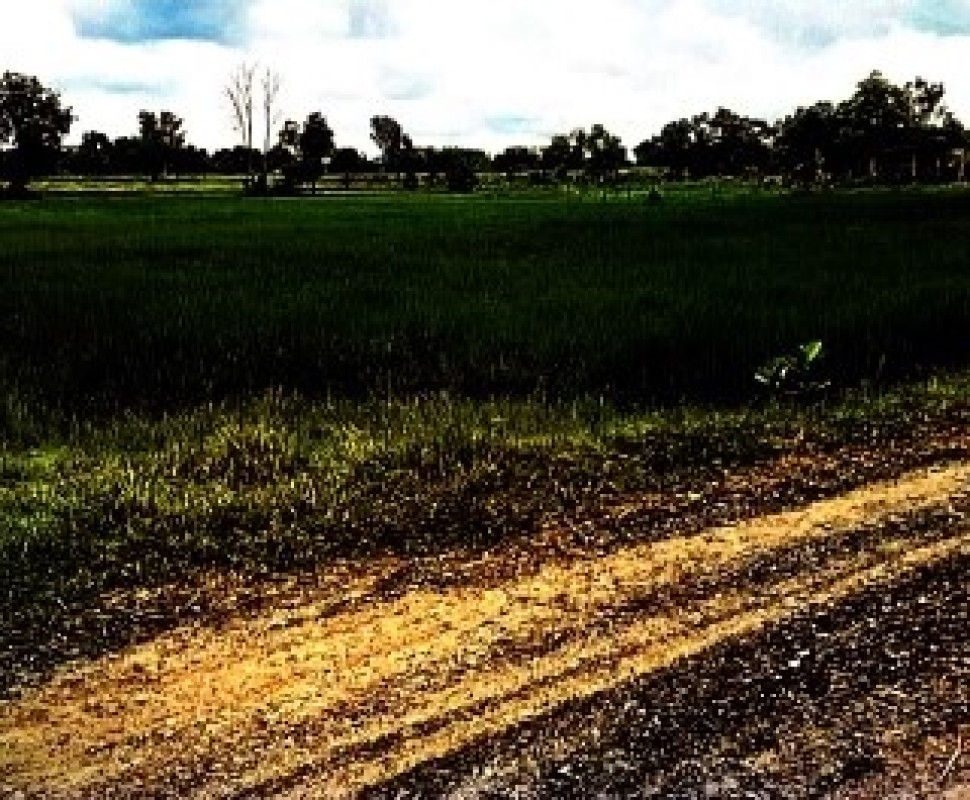 ที่ดินเปล่า บุรีรัมย์ เมืองบุรีรัมย์ ชุมเห็ด 384285