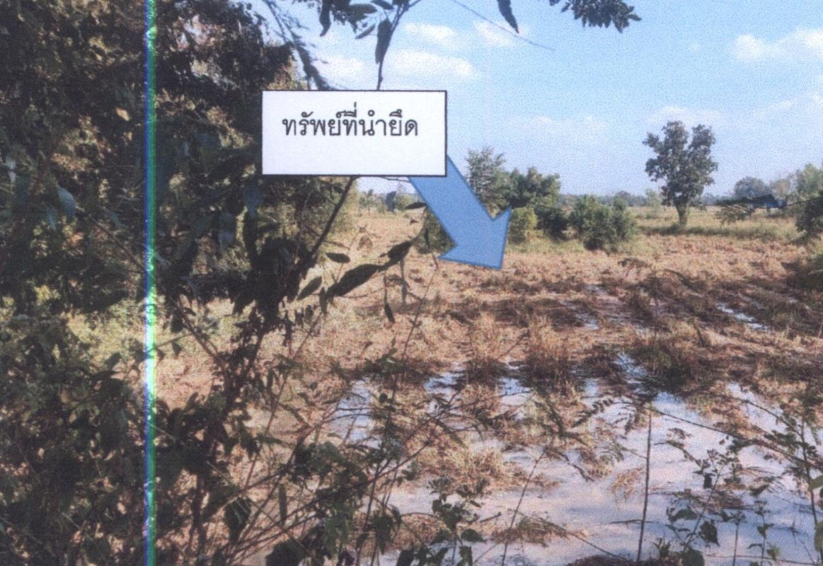 ที่ดินเปล่า บุรีรัมย์ พุทไธสง บ้านเป้า 1373400