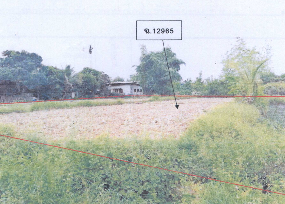ที่ดินเปล่า เชียงราย พาน แม่เย็น 325500