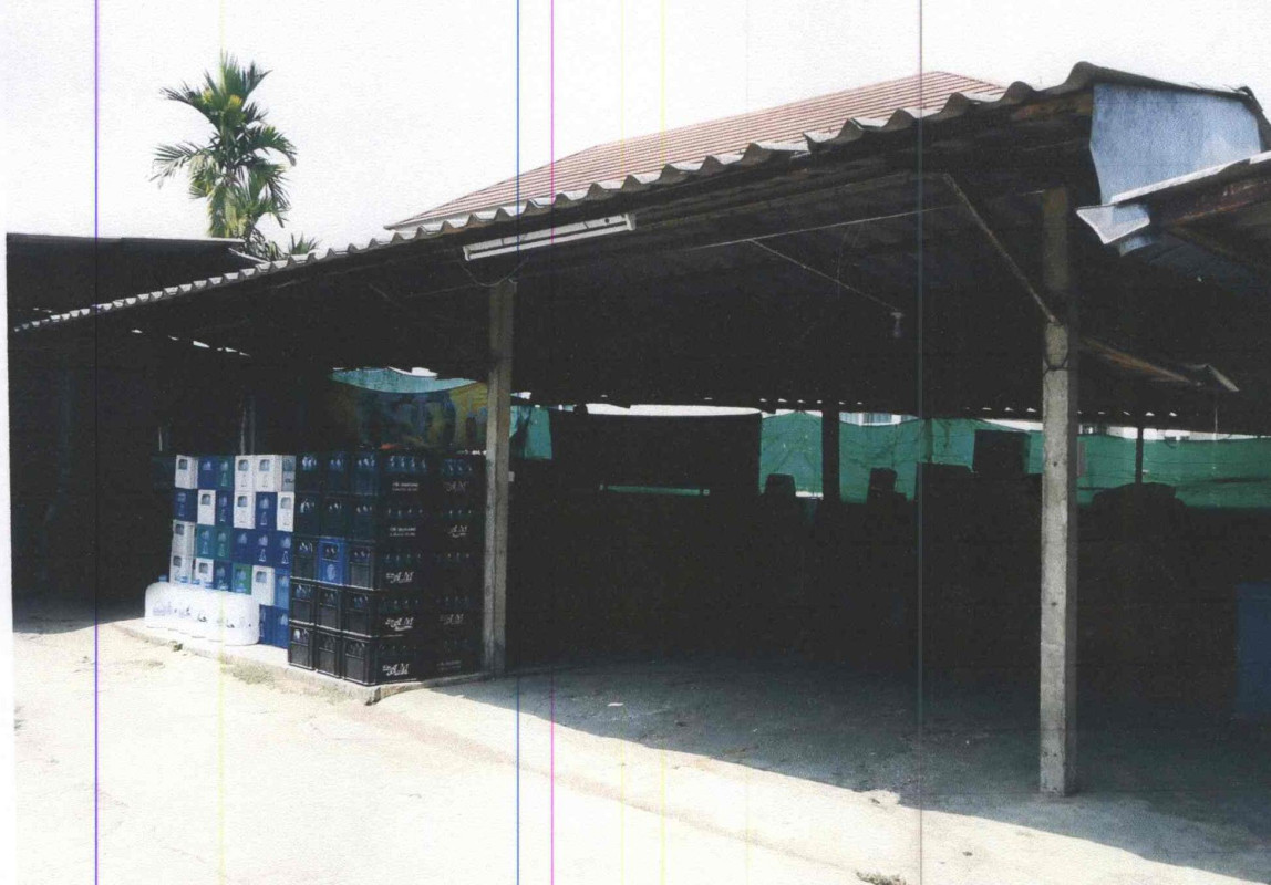 บ้านเดี่ยว เชียงใหม่ สันป่าตอง มะขามหลวง 335145