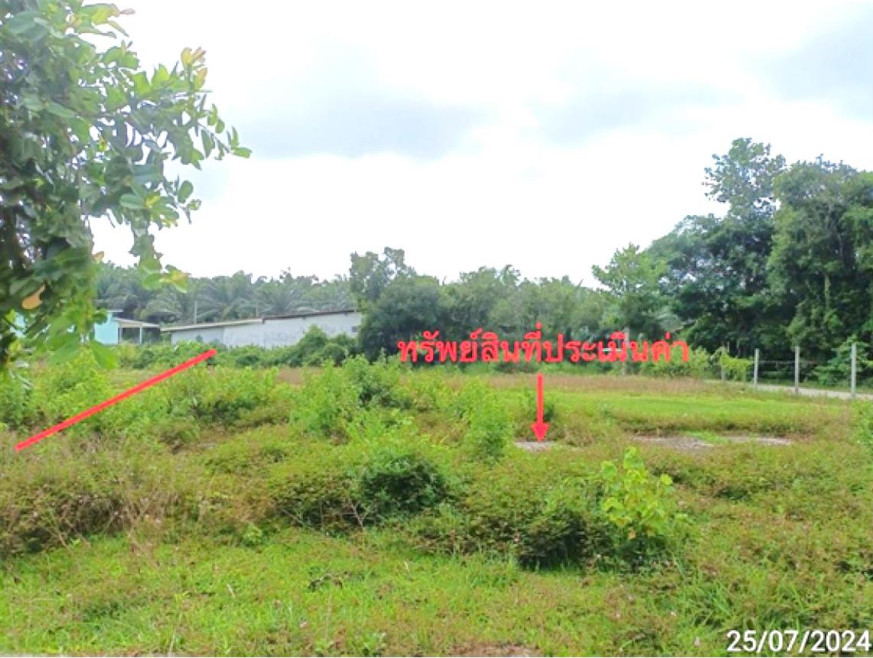 ที่ดินเปล่า ที่ดิน ตรัง ตรัง กันตัง บางเป้า 1882000