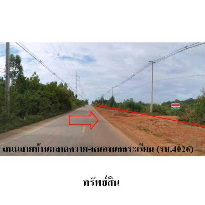 ที่ดินเปล่า ราชบุรี จอมบึง จอมบึง 28639800