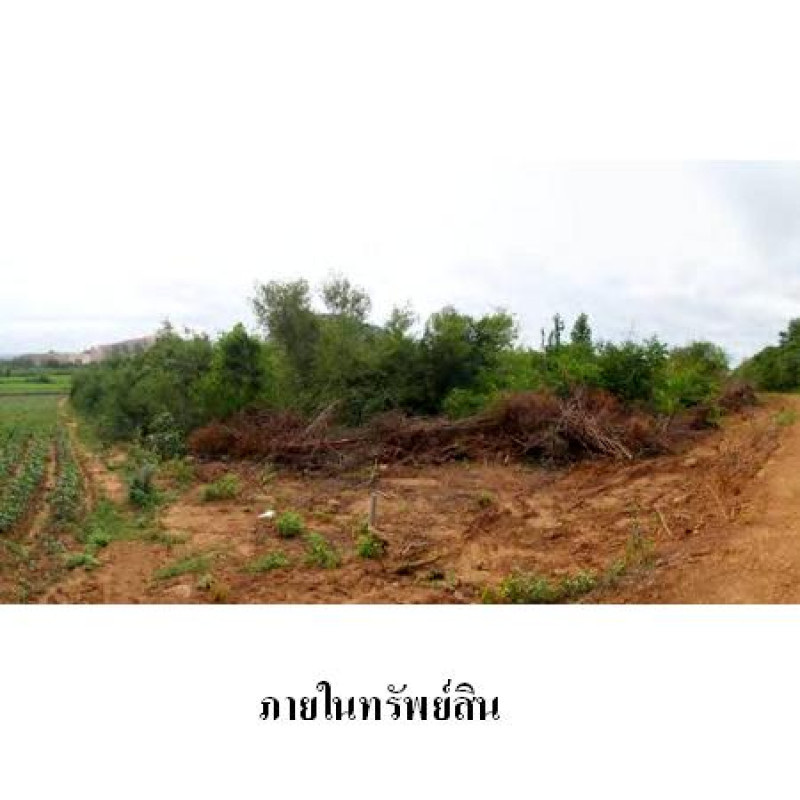 ที่ดินเปล่า ราชบุรี จอมบึง จอมบึง 28639800