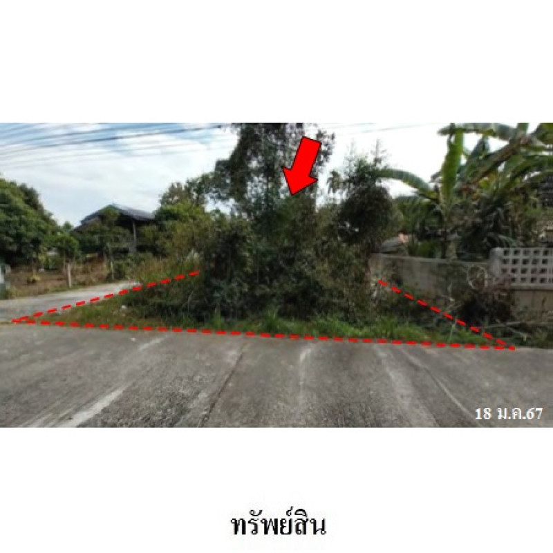 ที่ดินเปล่า พะเยา เมืองพะเยา บ้านต๋อม 708000