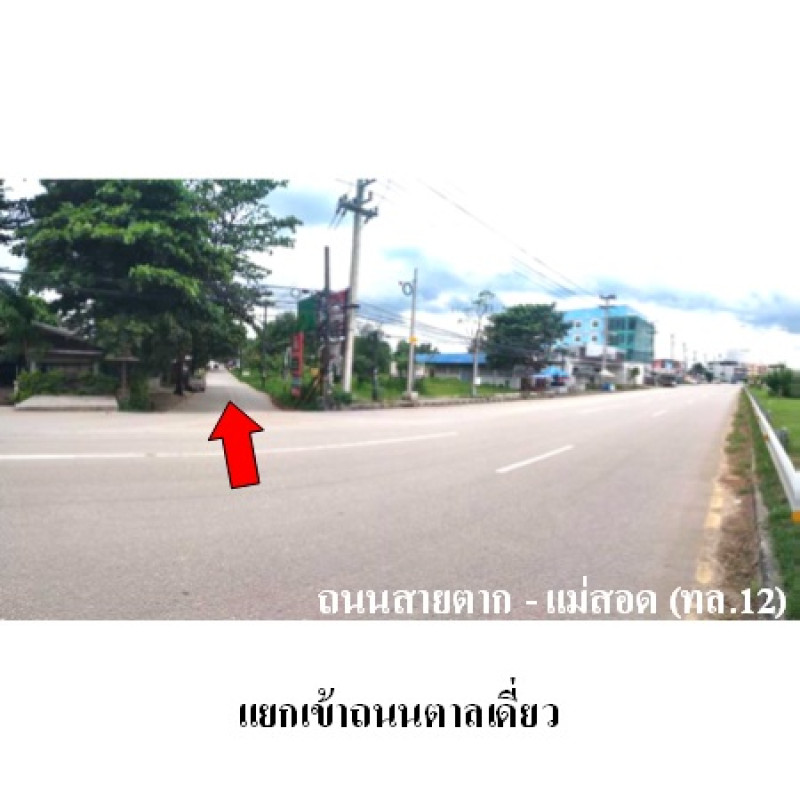 อาคารพาณิชย์ ตาก แม่สอด แม่ปะ 1954500