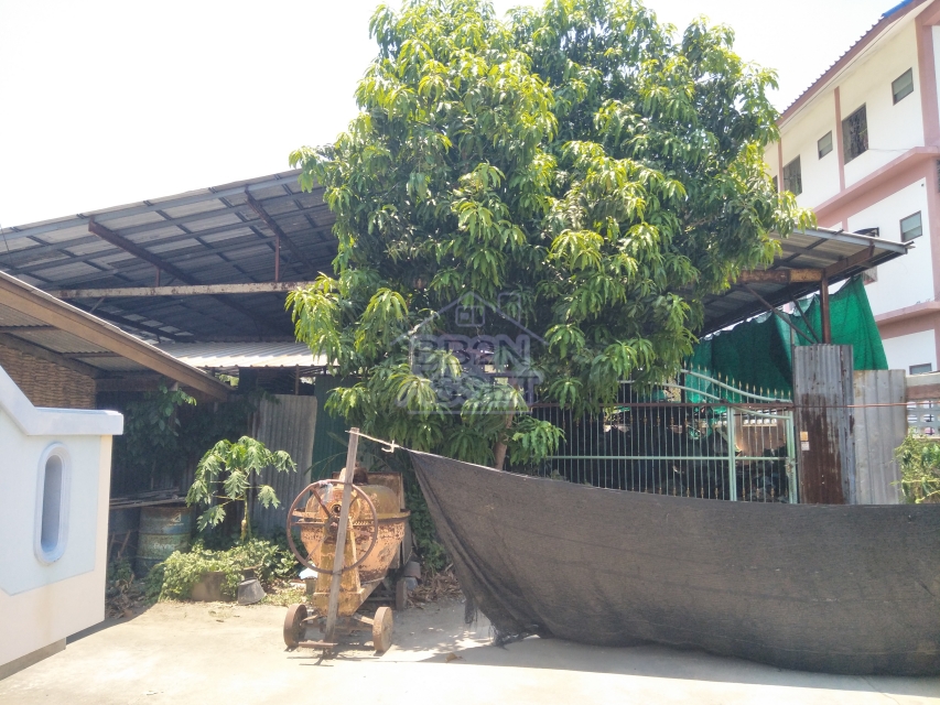 ที่ดินเปล่า นนทบุรี เมืองนนทบุรี บางรักน้อย 16000000