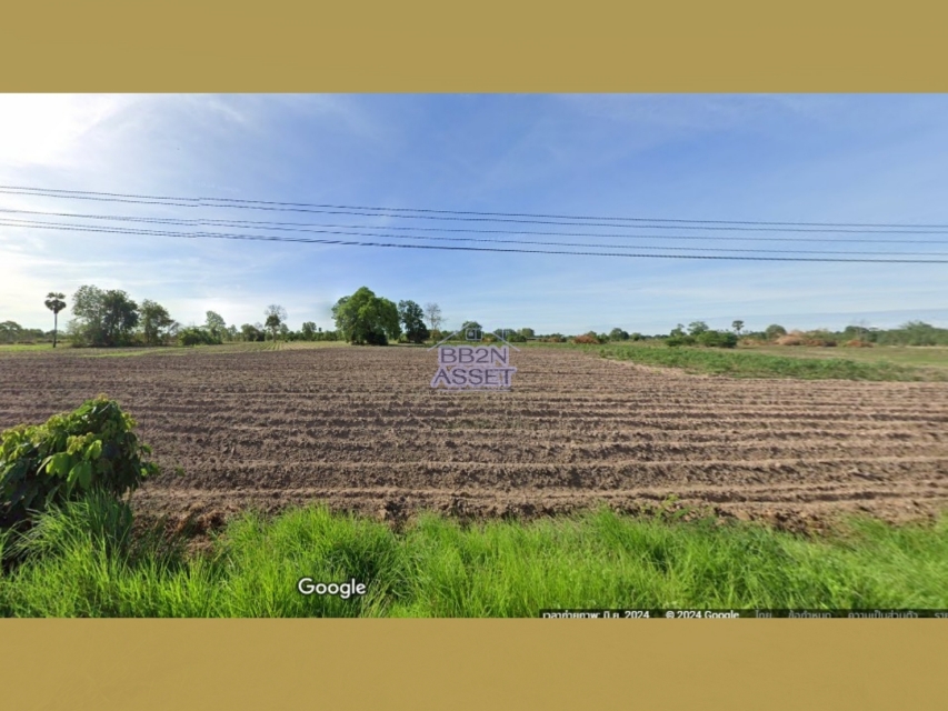 ที่ดินเปล่า ชัยนาท วัดสิงห์ หนองขุ่น 950000