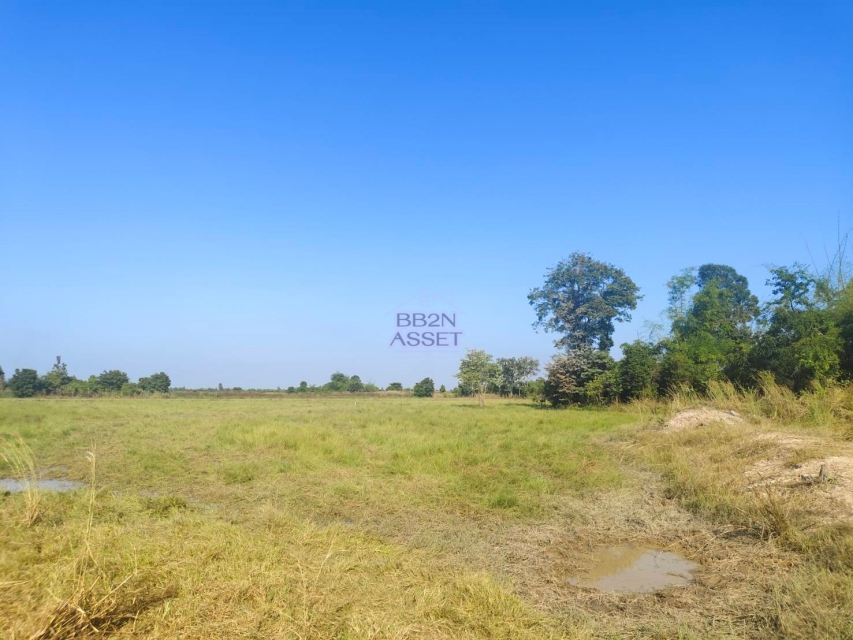 ที่ดินเปล่า ชัยนาท วัดสิงห์ หนองขุ่น 950000