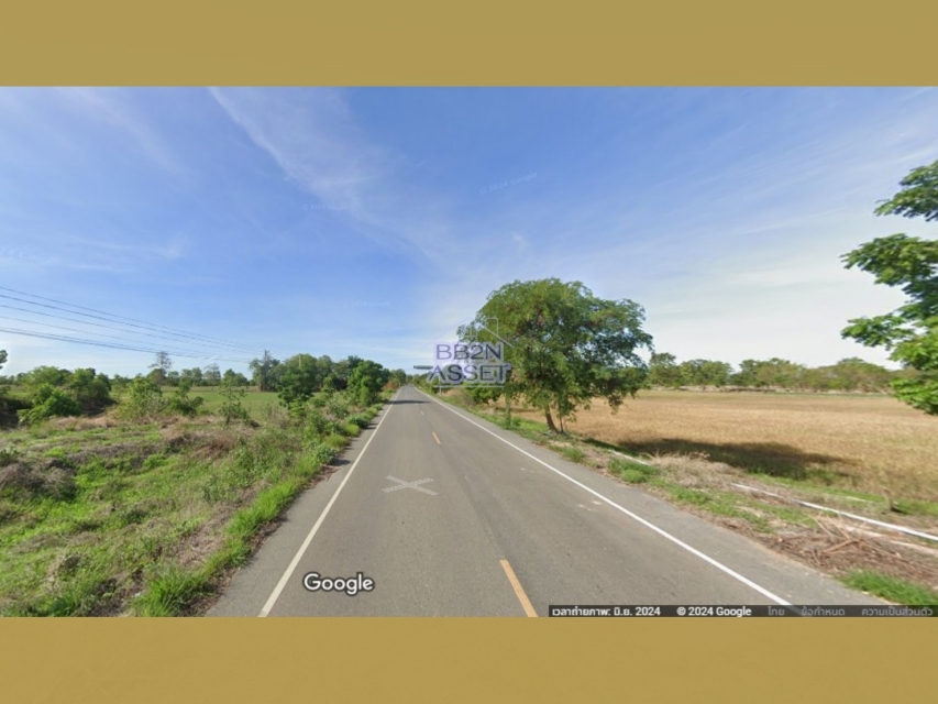 ที่ดินเปล่า ชัยนาท วัดสิงห์ หนองขุ่น 950000