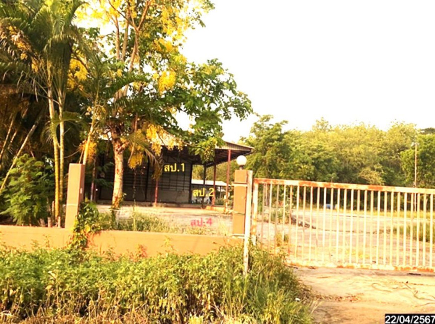 โรงงาน/โกดัง โกดัง เลย เลย เมืองเลย นาอ้อ 16843000