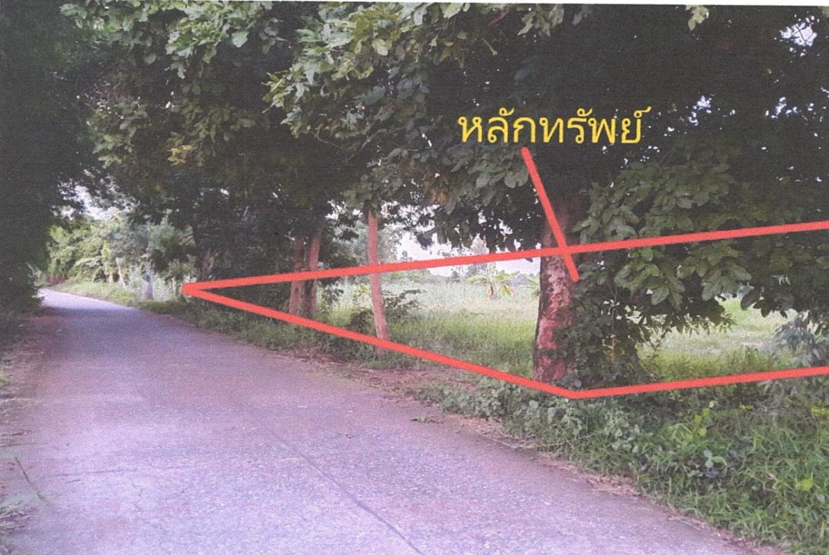 ที่ดินเปล่า ขอนแก่น หนองนาคำ กุดธาตุ 518640