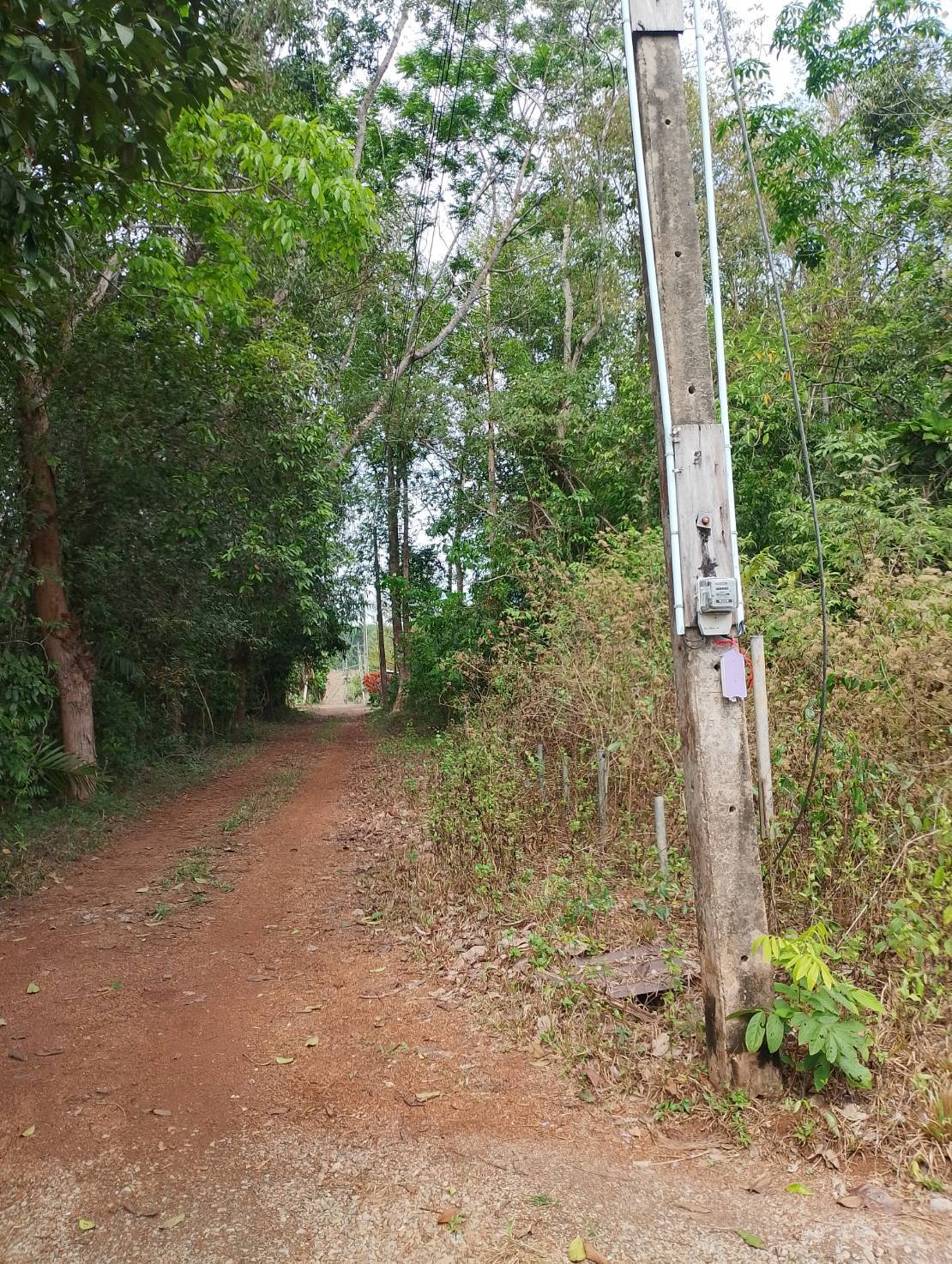 ที่ดินเปล่า ตราด เขาสมิง เขาสมิง 5100000
