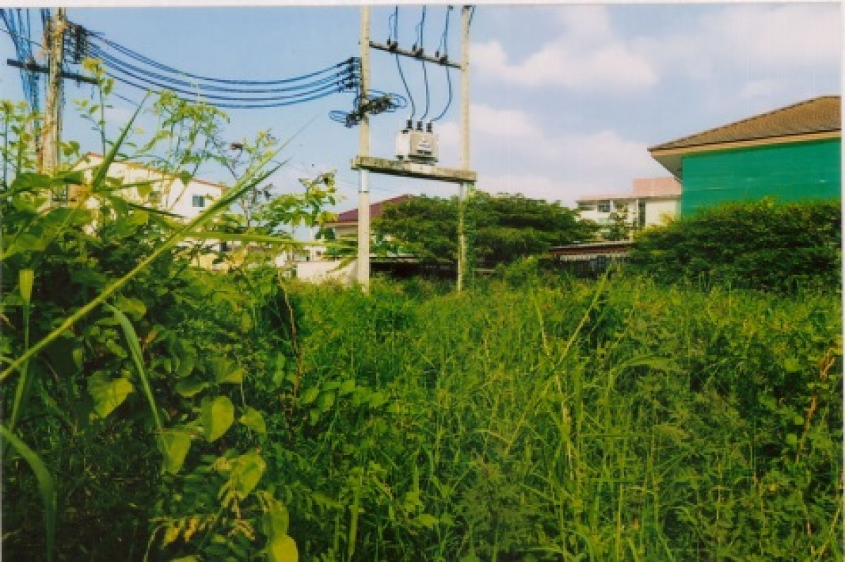 Residential land/lot Samut Sakhon Krathum Baen Talat Krathum Baen 440000