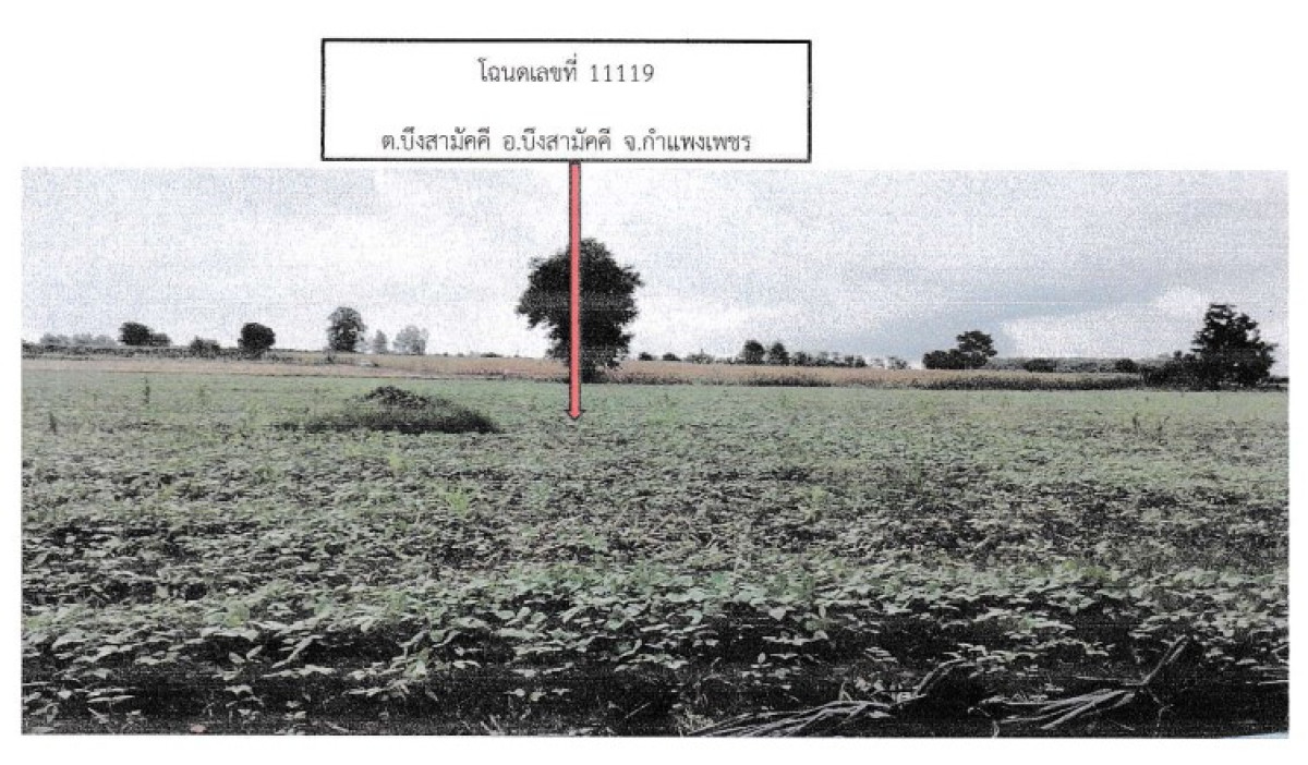 Residential land/lot Kamphaeng Phet Bueng Samakkhi Bueng Samakkhi 1037484