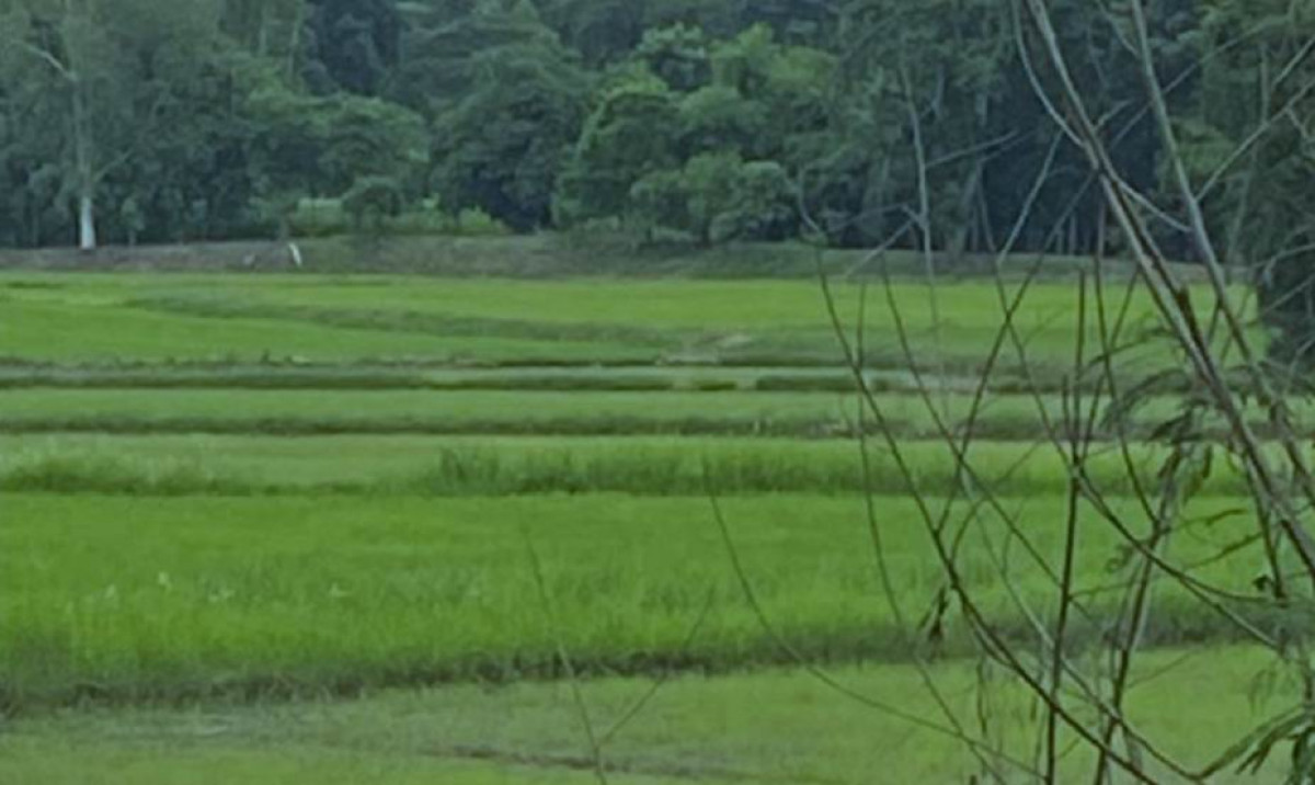 Residential land/lot Khon Kaen Mueang Khon Kaen Samran 564600