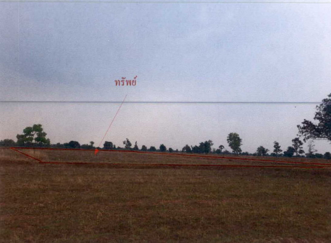 ที่ดินเปล่า บุรีรัมย์ นางรอง หนองโสน 1216400