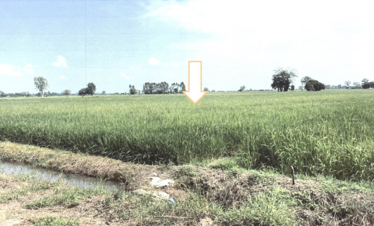 Residential land/lot Uttaradit Phichai Ban Dara 1017400