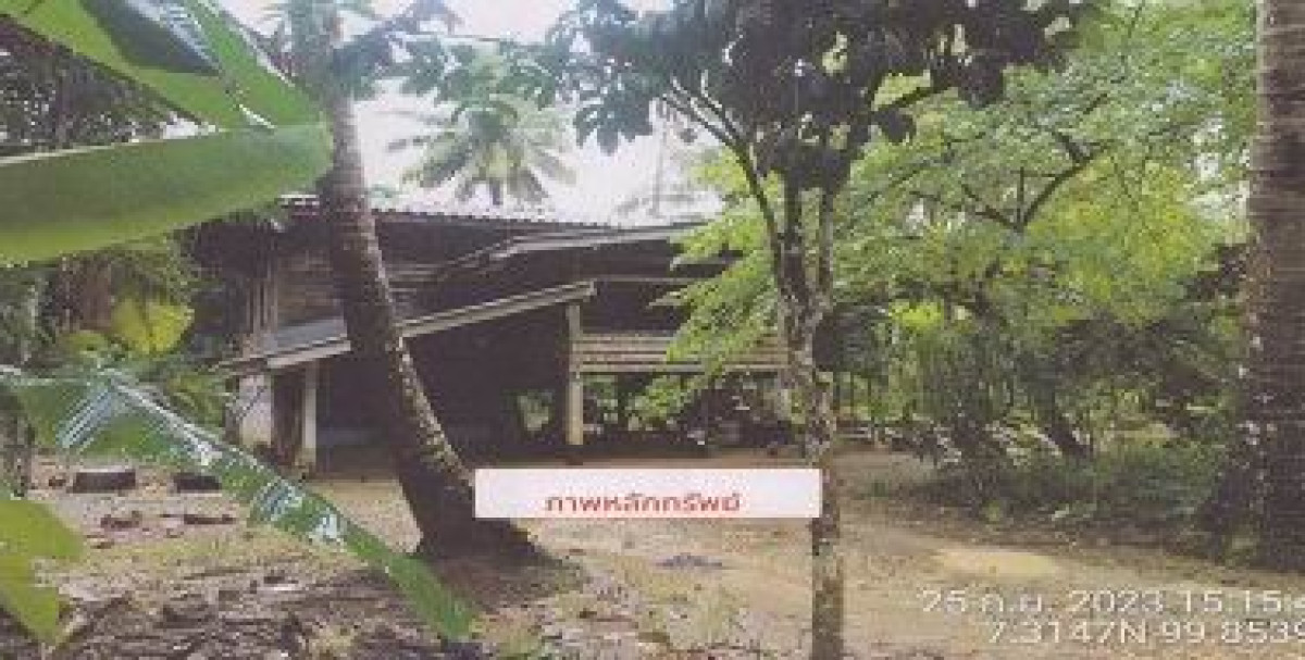 บ้านเดี่ยว ตรัง ปะเหลียน ปะเหลียน 756220