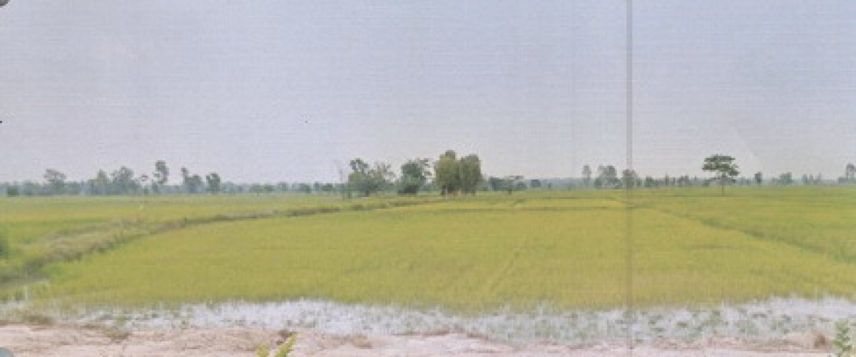 Residential land/lot Khon Kaen Mueang Khon Kaen Khok Si 807750