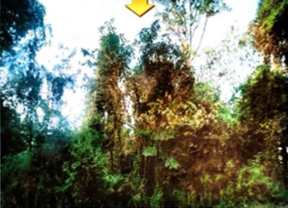 Residential land/lot Nakhon Phanom Renu Nakhon Khok Hin Hae 228000