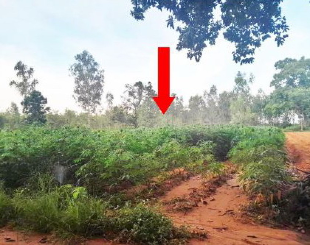 Residential land/lot Khon Kaen Nam Phong Muang Wan 678810