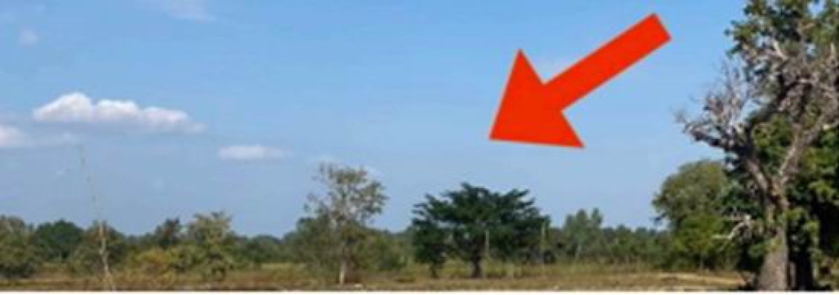 ที่ดินเปล่า นครพนม ธาตุพนม น้ำก่ำ 303900
