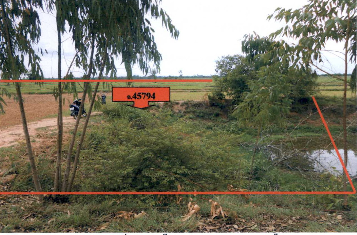 Residential land/lot Buri Ram Nang Rong Lam Sai Yong 338000