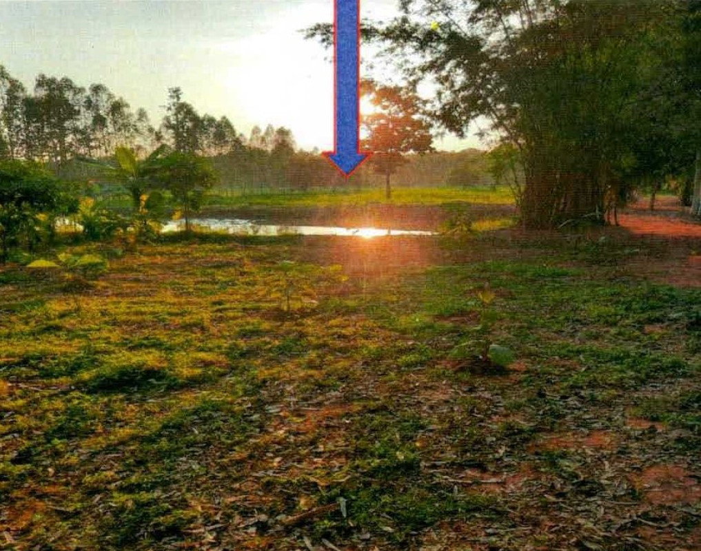 Residential land/lot Nong Bua Lam Phu Mueang Nong Bua Lam Phu Ban Phrao 478400