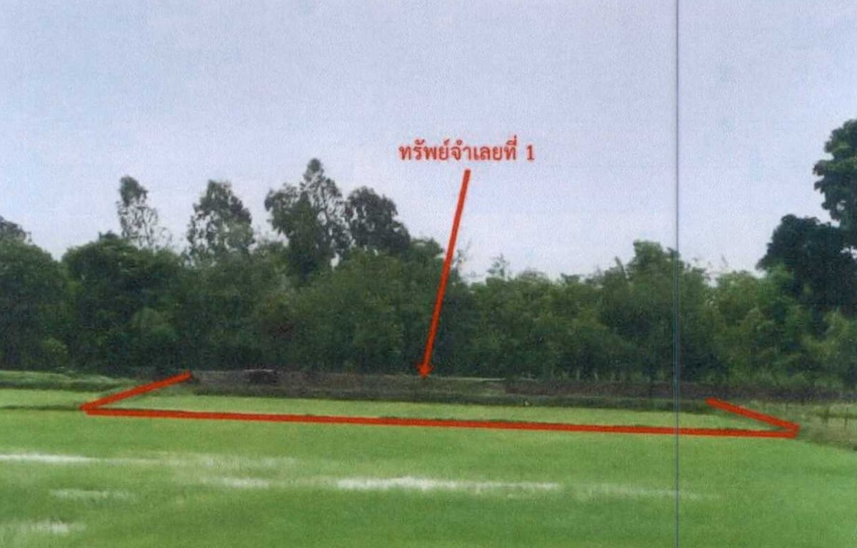 Residential land/lot Buri Ram Nang Rong Sadao 189600