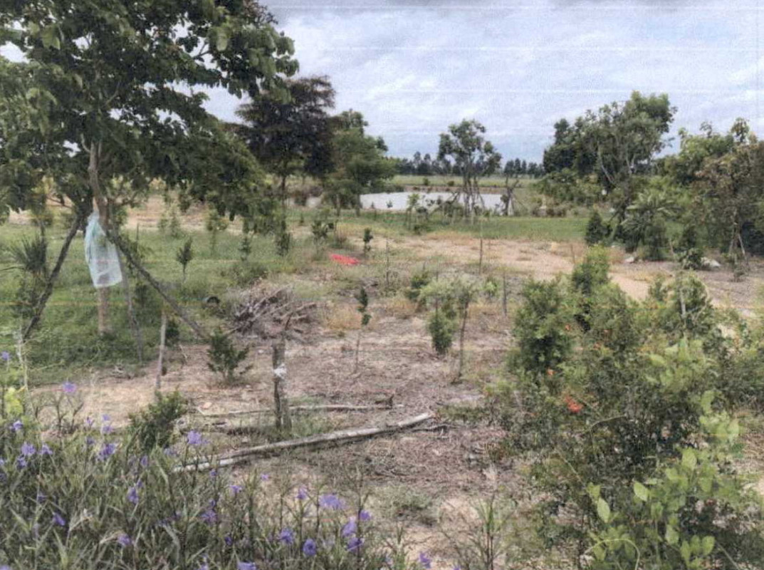 Residential land/lot Suphan Buri Sam Chuk Wang Luek 2006400