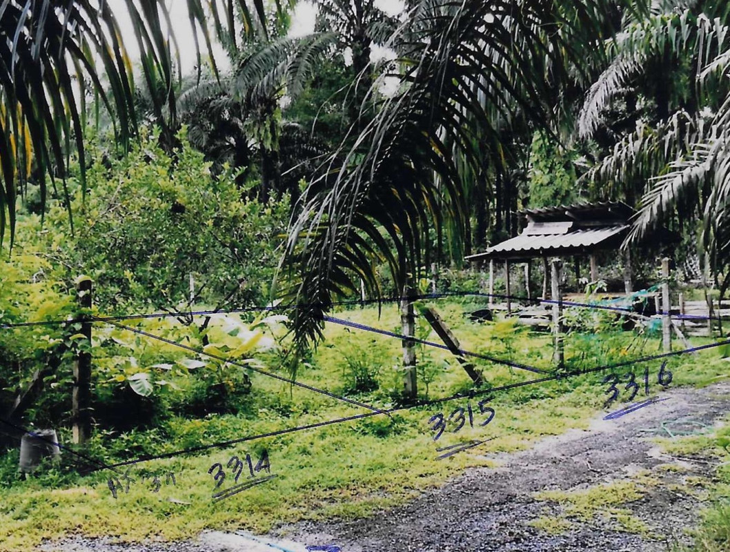 ที่ดินเปล่า กระบี่ เขาพนม เขาพนม 176000