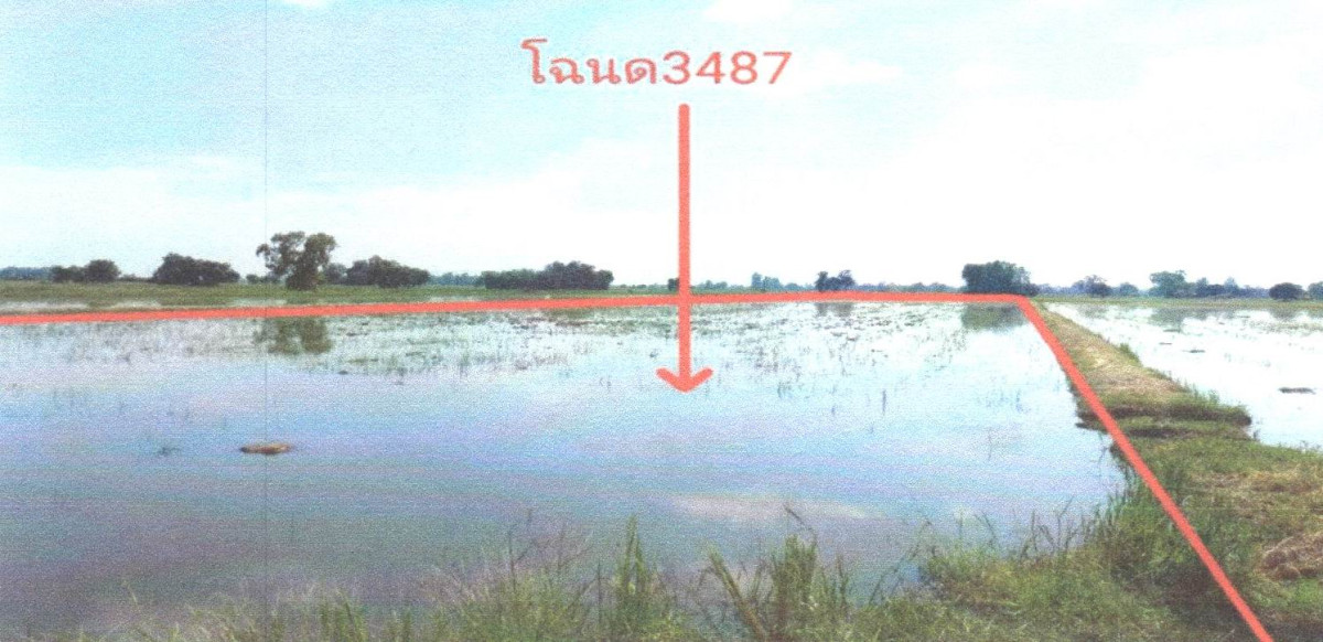 Residential land/lot Uttaradit Laplae Phai Lom 319380