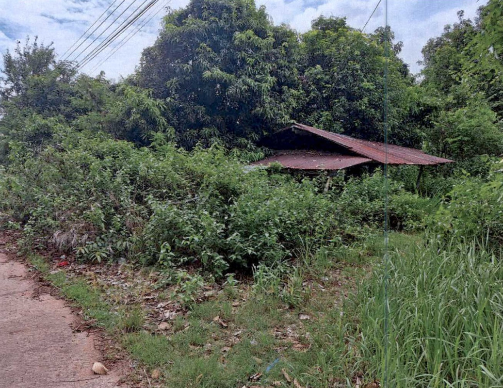 Residential land/lot Buri Ram Chamni Chamni 144000