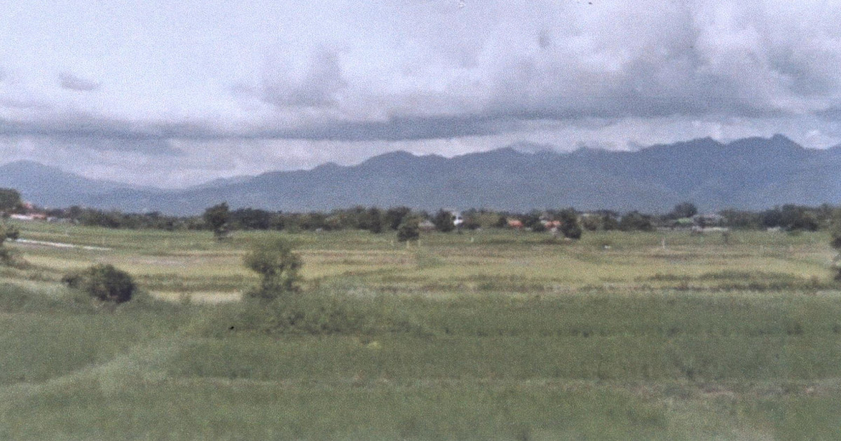ที่ดินเปล่า แพร่ เมืองแพร่ ทุ่งกวาว 19800