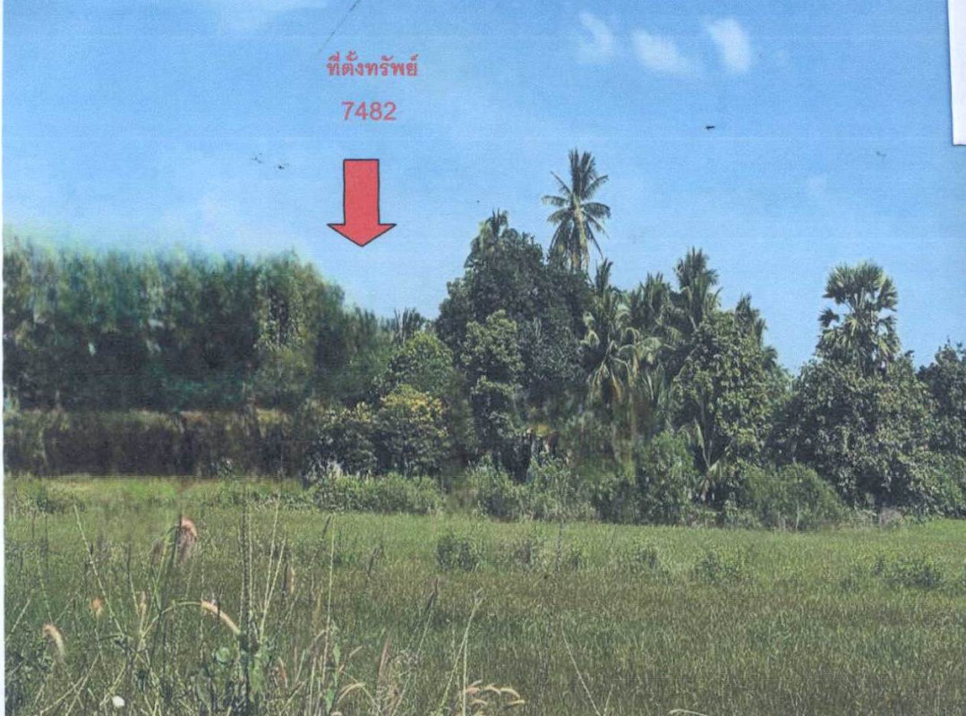 Residential land/lot Phetchaburi Khao Yoi Nong Chumphon 605600