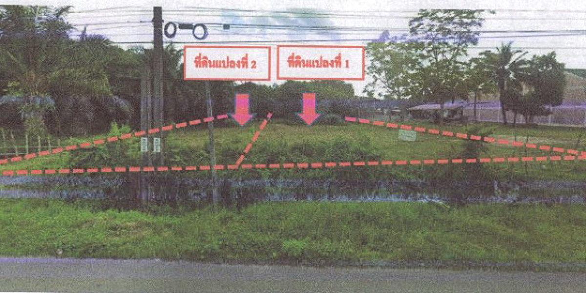 ที่ดินเปล่า กระบี่ เหนือคลอง ปกาสัย 1338356