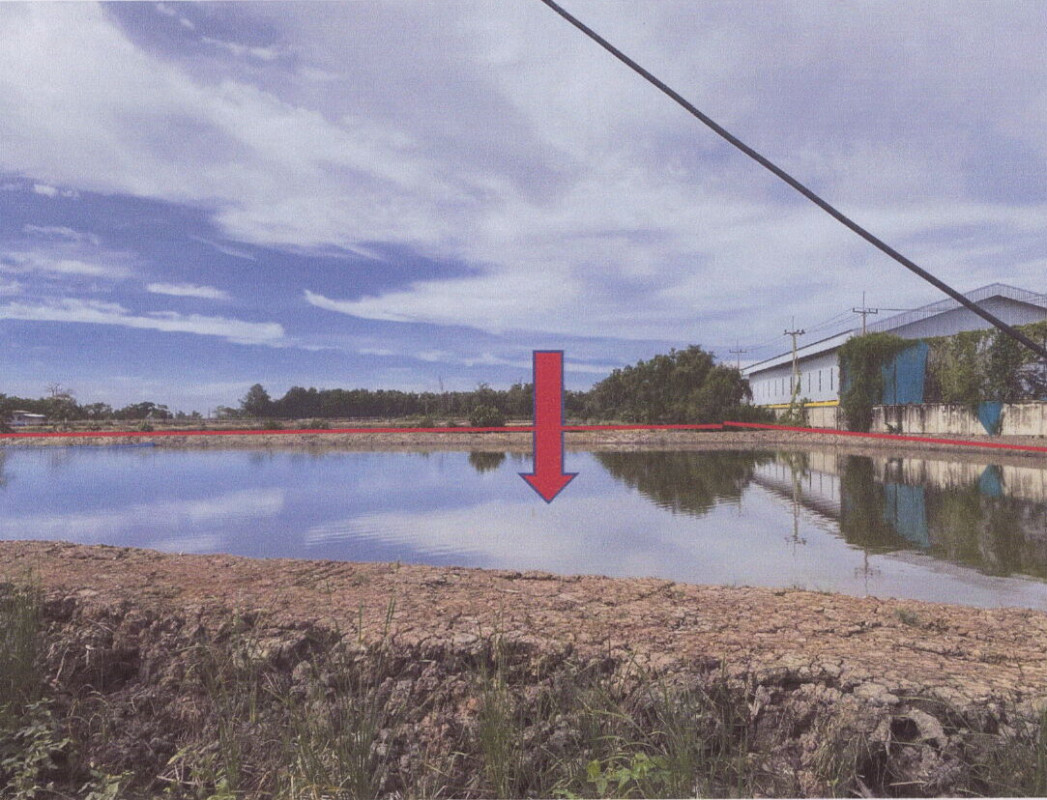 Residential land/lot Samut Songkhram Mueang Samut Songkhram Bang Chakreng 6456000